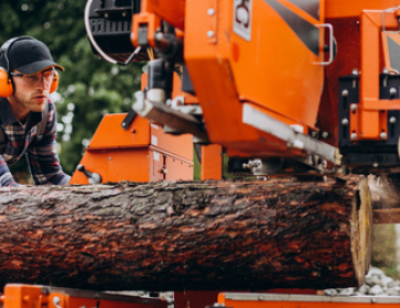 Forestry +F First Aid Training