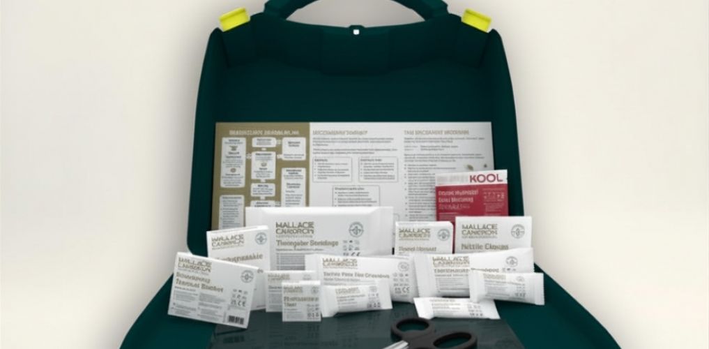 BSI HSE First aid kit