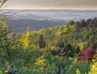 Cannock