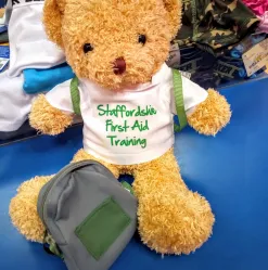 Blended Paediatric First Aid